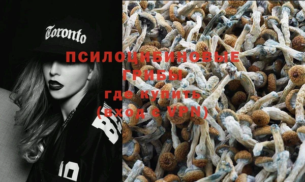 первитин Кукмор